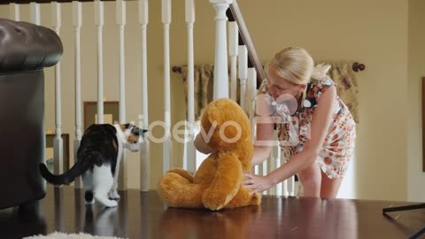 A Women Plays with a cat shows a cat a teddy bear.