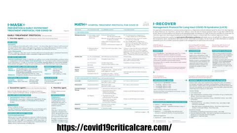 Early At Home Treatments For Covid 19 EXPLAINED - IMask+ & Muccollogh Protocol