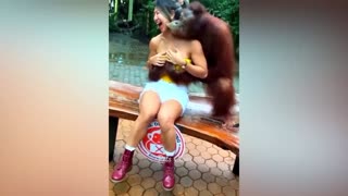 Funny Animals!