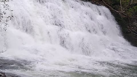 Hiking Fall Creek Falls, TN