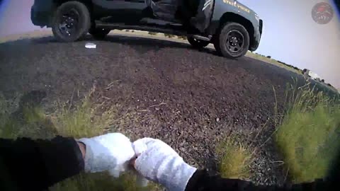 New Mexico Trooper Shot On Traffic Stop, Chases Suspect Who Shot Her
