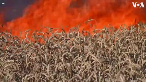 Wheat Fields Near Ukraine Front Lines Burn After Shelling