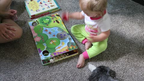 Toddler Plays with Pull-and-Go Ladybug Book