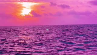 Ocean Sunset🤩🤩🤩