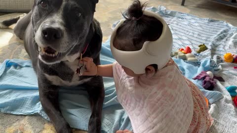 Baby funny vedios with her pet friend