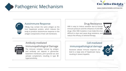 HBV Vaccines