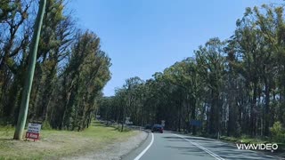 Rebirth of Australia countryside after catastrophe fire