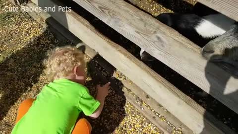 Cute kids introduced to lovely animals. 🐶🐕☺️😍