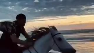 Horse and rider in the sunset