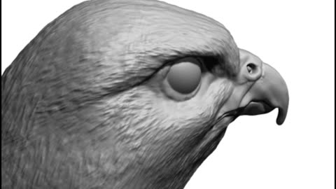 3D printable model falcon bird basic shape