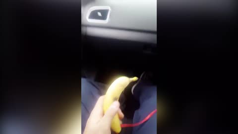 Drive-By Banana!