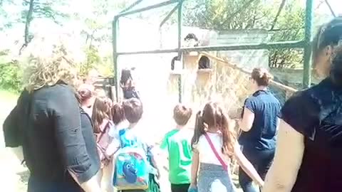 a teacher and children in the zoo see an eagle