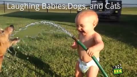 Babies and Dogs Compilation -NEW