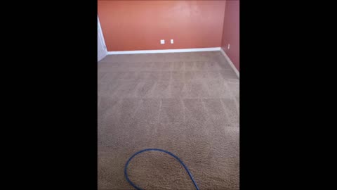 Pro Budget Carpet Cleaning - (909) 667-8308