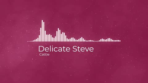Delicate Steve Cattle