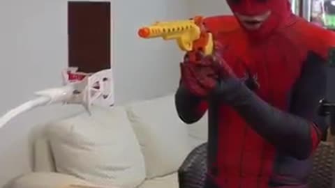 Spider man 🕷️ funny 😅 video