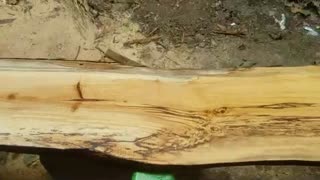 Spalted Maple - episode 4