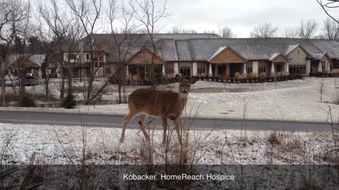 Ohio Health Kobacker House