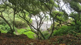 Black Sand Beach, Road to Hana, Maui July 2016