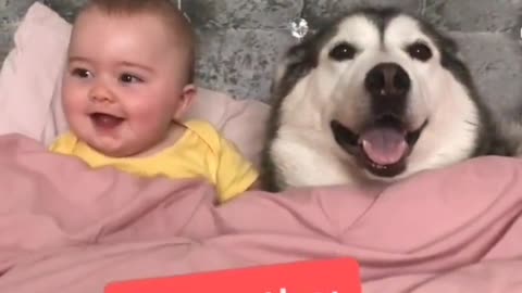 Friendship between dog and child since the child's birth