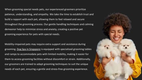 Customized Grooming: Trained Dog Groomers — The Pets Workshop