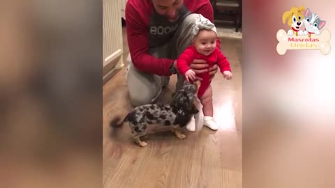 CUTE Babies Playing With Dogs