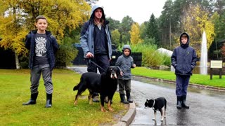 Family Trip🚙 Scotland Lairg Farm 🏡Cottage Highlands🏞 / Wakacje October 2018