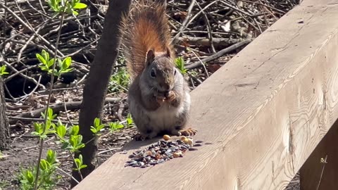 Residents of James Gardens in Toronto