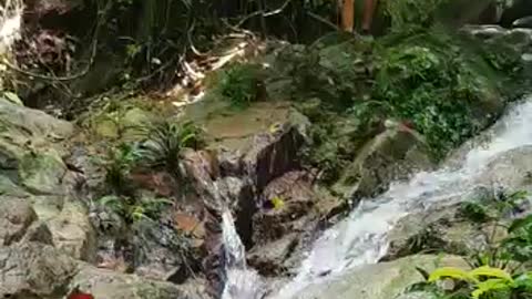Man slides down waterfall with hilarious commentary