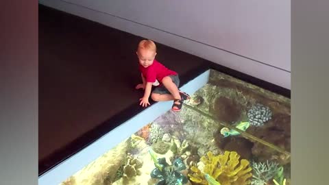Curious Toddlers Find The Glass Floor Very Interesting