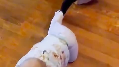 Cute baby and cat love video amazing 🤩