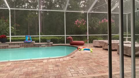 Wiener Dog pool float getting rained on