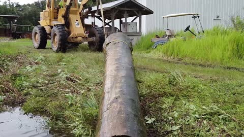 How Long Does It Take 200 - 500-Years-Old River-Recovered® Heart Pine Logs to Dry?