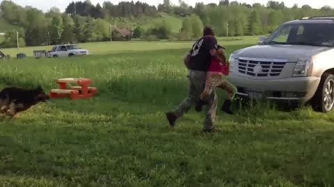 GERMAN SHEPHERD STOP 2 KIDNAPPERS WHO TRY TO KIDNAP A LITTLE GIRL