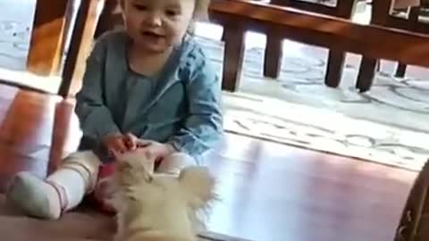 funny video Funny video baby girl and the dog_shorts