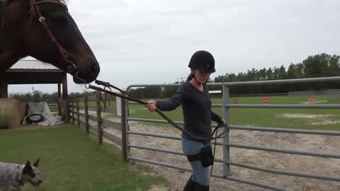 Lindsay Riding Stitch Her Beloved American Quarter Horse