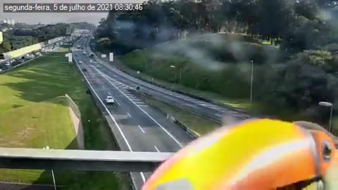 Toucans interacts with camera on higway - Tucanos interagem com camera em estrada