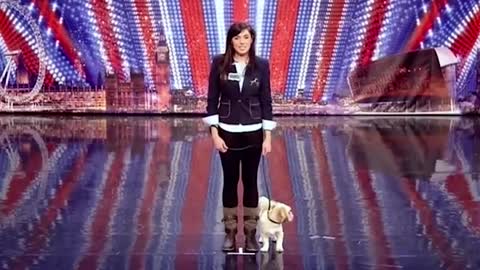 6 Best Singing Dogs EVER On Got Talent! But Which Dog WINS?