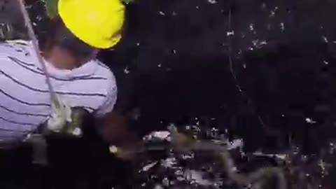 Cobra Stuck In Well Gets Help Out