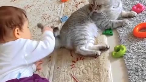 What a fight cat vs babies **Very funny video😍😺**