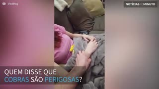 Cobra de estimação tira uma soneca com sua dona