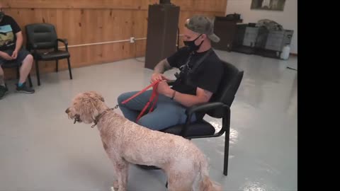 Separation anxiety dog training!