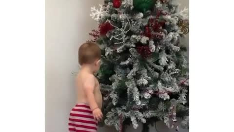 Funny Kid first saw the tree