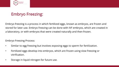 Freezing Eggs vs. Freezing Embryos: The Pros and Cons