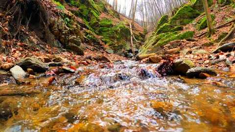 Sounds of nature: water runs in a stream