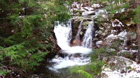 Cascade