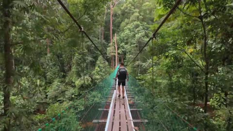 I went where No one goes - the virgin rainforest of Borneo