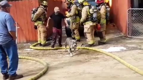 Man saves his dog from a house fire