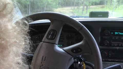 2 Year Old Drives Daddy's Truck around the Farm