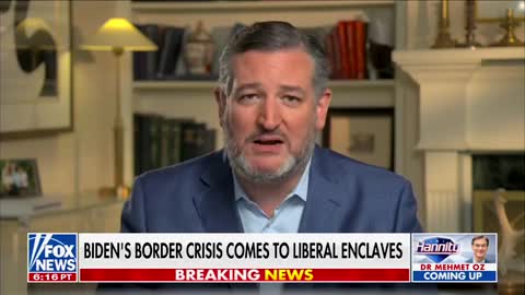 Ted Cruz Calls Out the Biggest Human Trafficker on Earth, Joe Biden